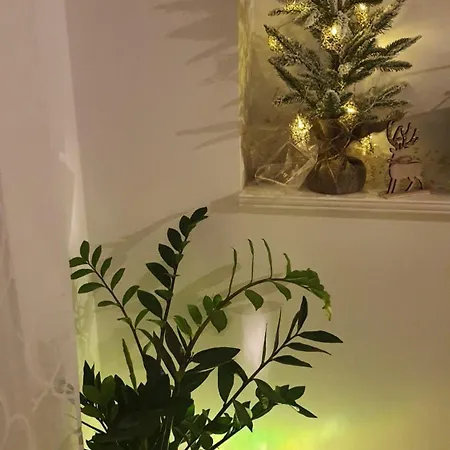 Lili Appartement